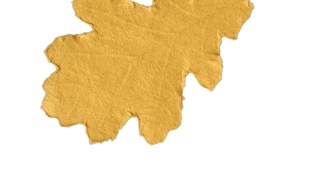 oak yellow leaf decoration