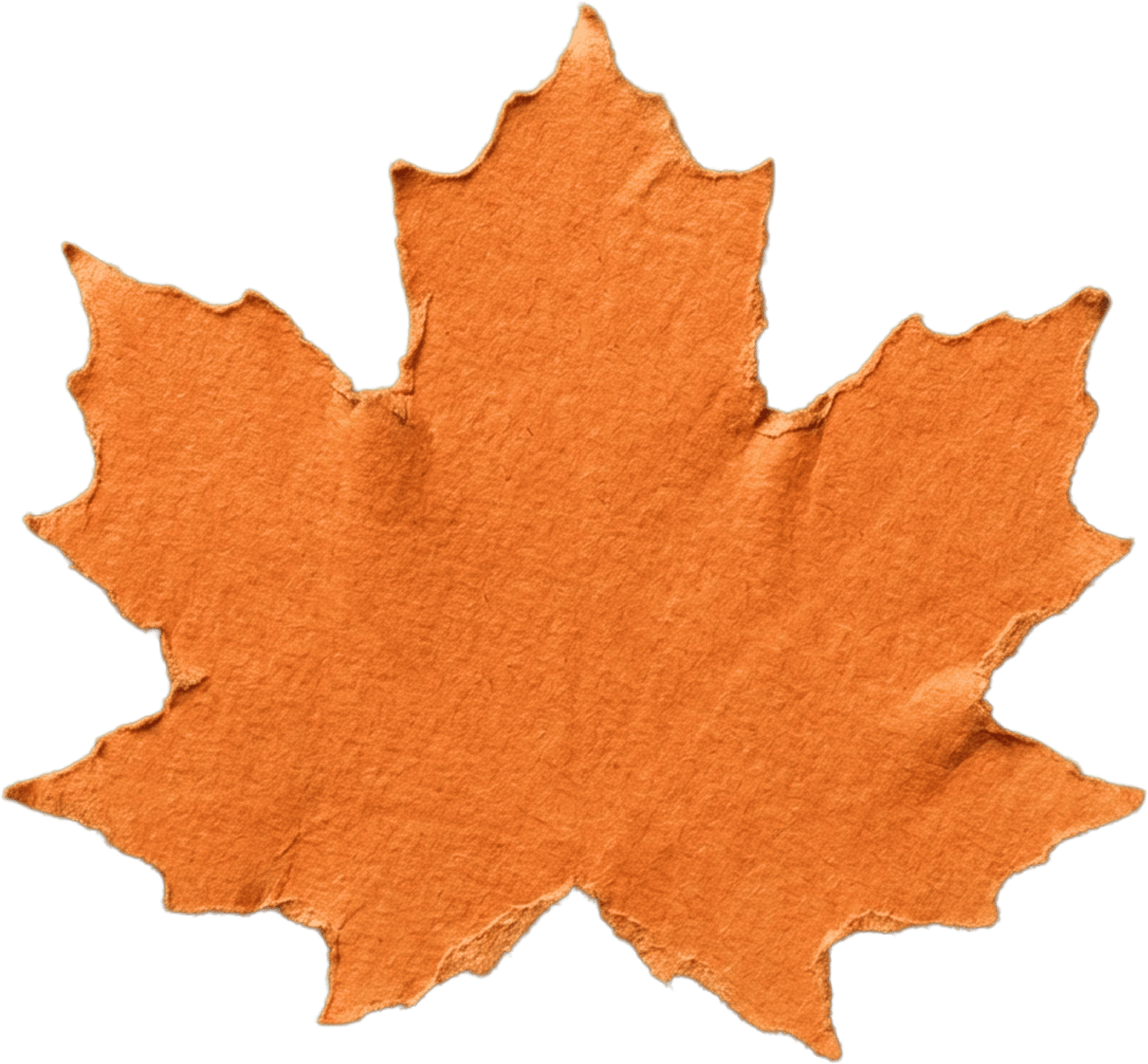 maple orange leaf decoration
