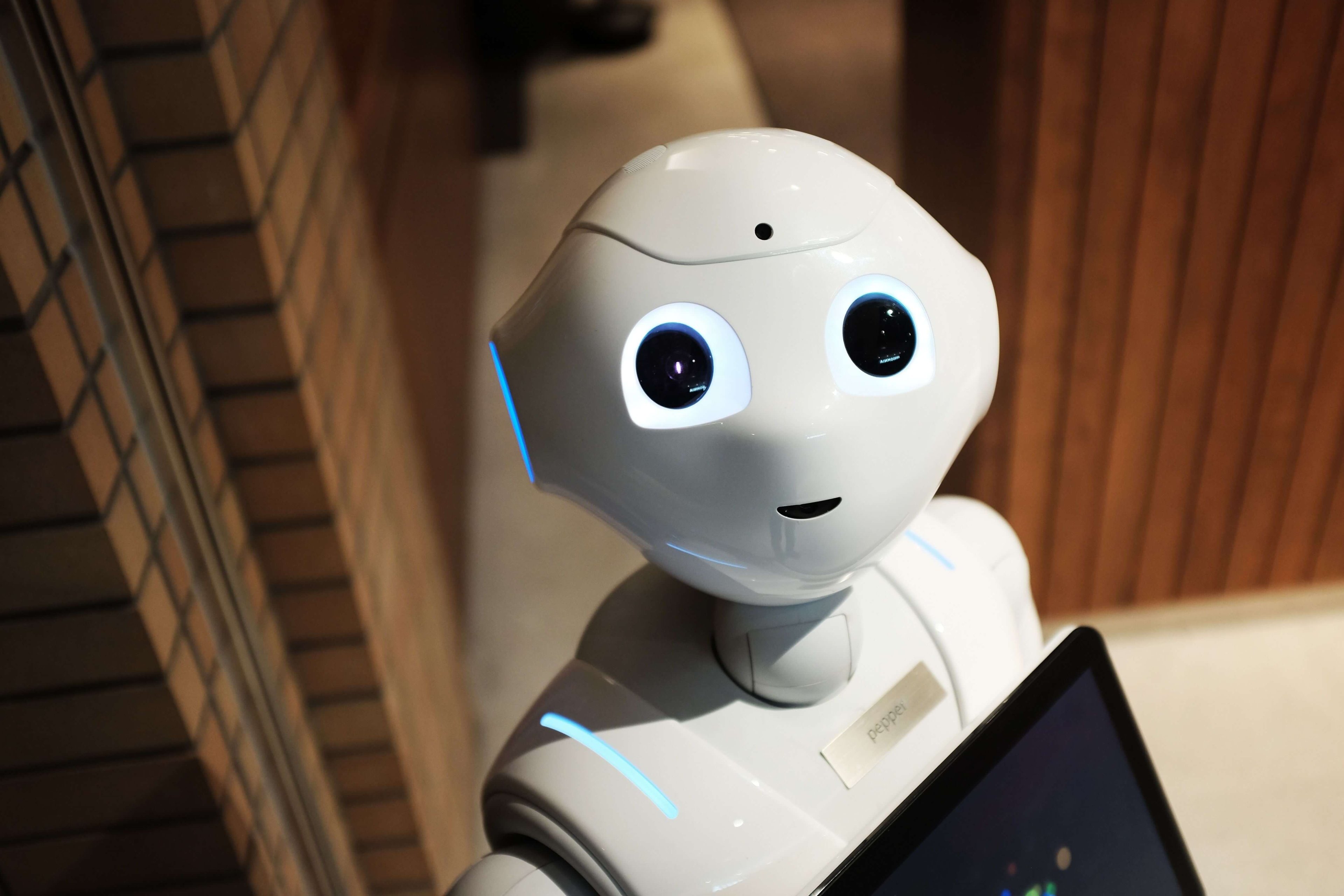 Craft Blog Post: Artificial Intelligence 101: A Beginner's Guide to the World of AI