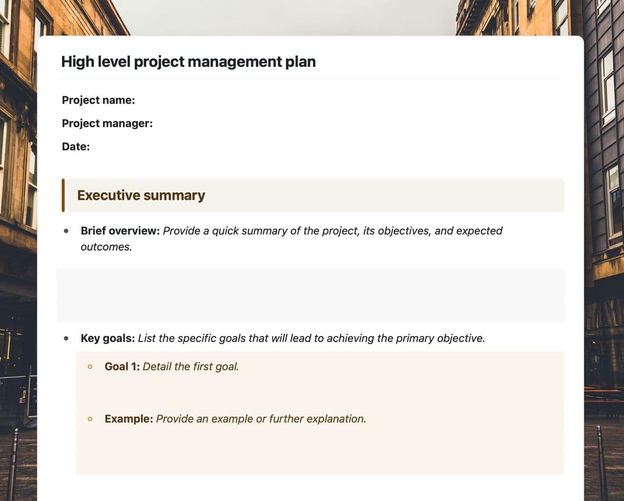 Craft Free Template: High level project management plan